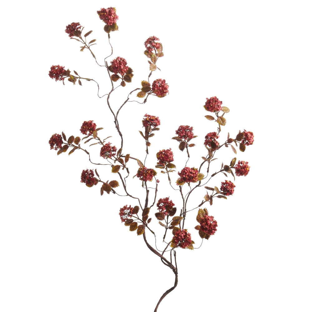 Burgundy Floral Branch
