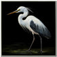 Midnight Heron II