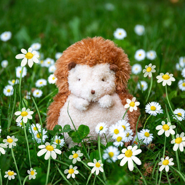 Smidgen The Hedghog