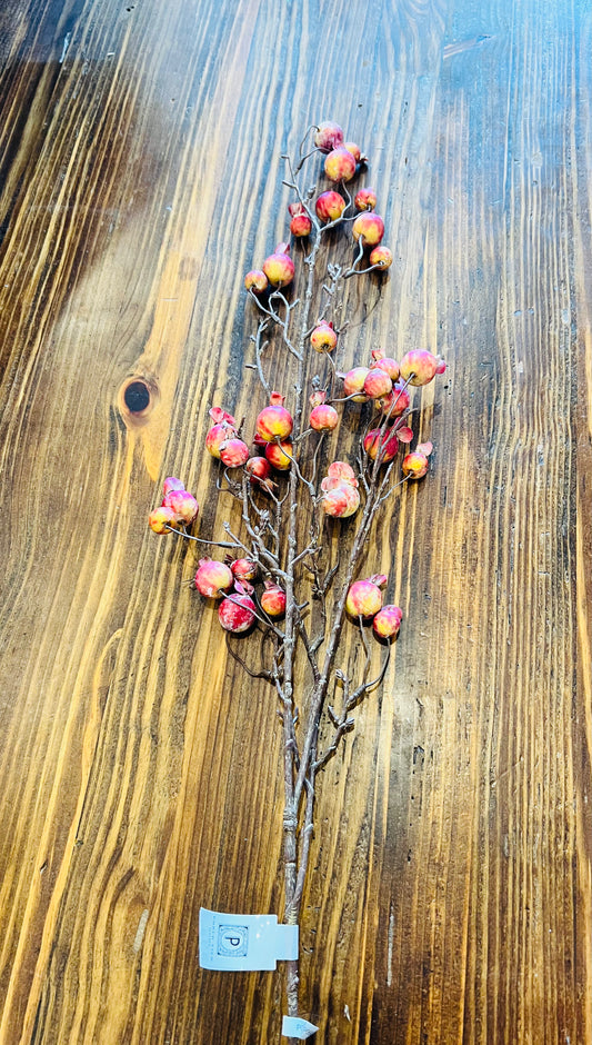 Crabapple Stem Yellow/Red