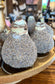 Waxed Amaryllis Bulbs - (5 Styles)