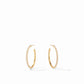 Juliet Hoop Earrings
