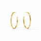 Crescent Stone Hoop Earrings