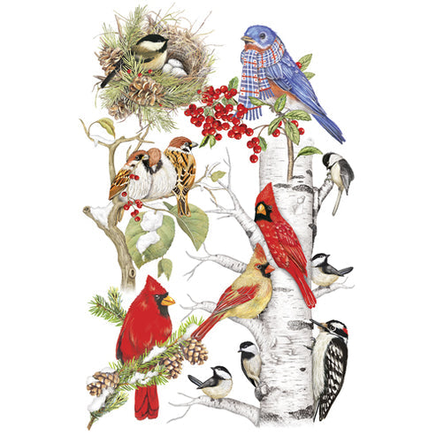 Winter Birds Notepad Set