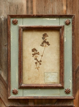 Framed Botanical Collection (8 Styles)