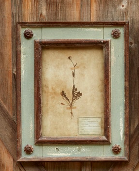 Framed Botanical Collection (8 Styles)
