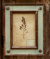 Framed Botanical Collection (8 Styles)