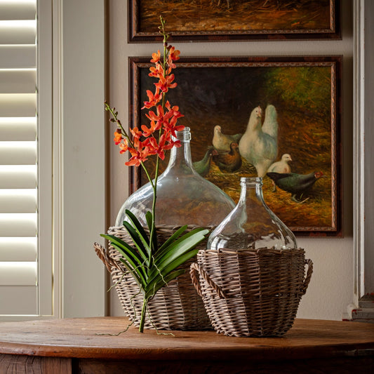 Vanda Orchid Terra Cotta