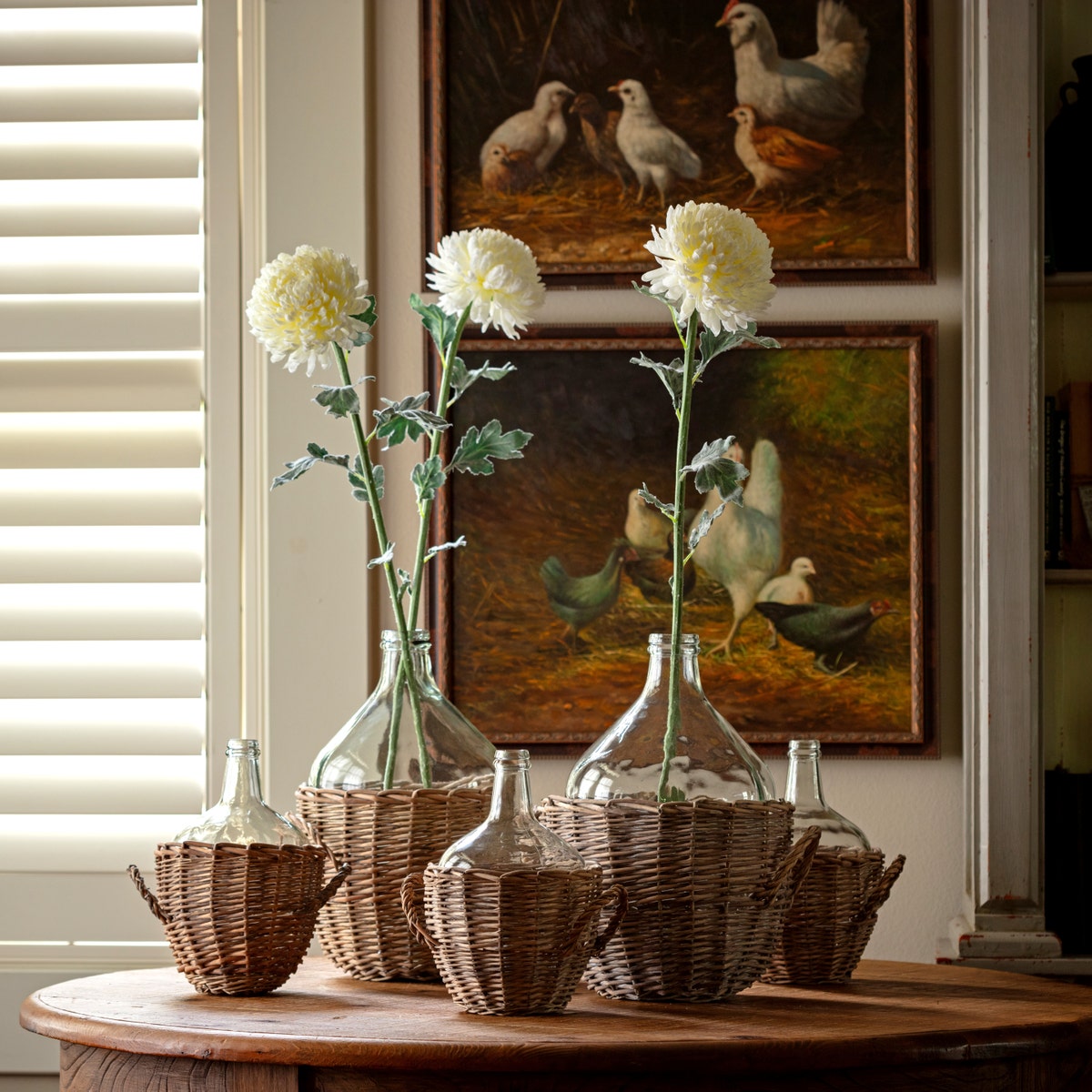 Football Chrysanthemum White