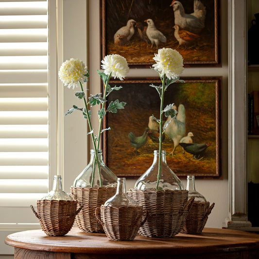 Football Chrysanthemum White