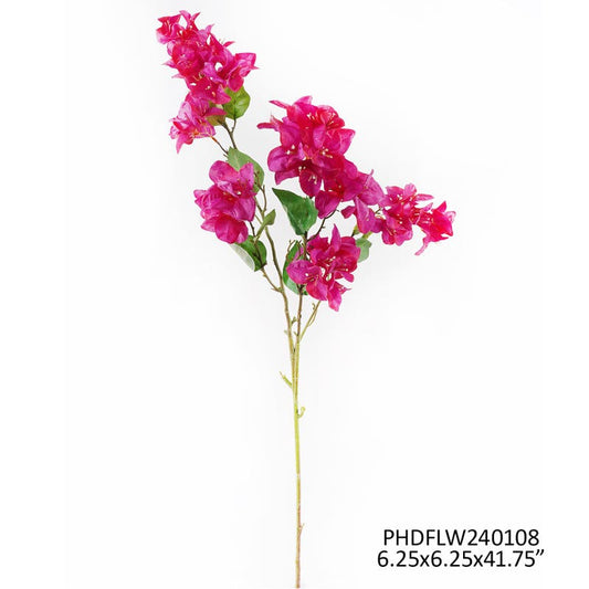 Bougainvillea Bridal Purple