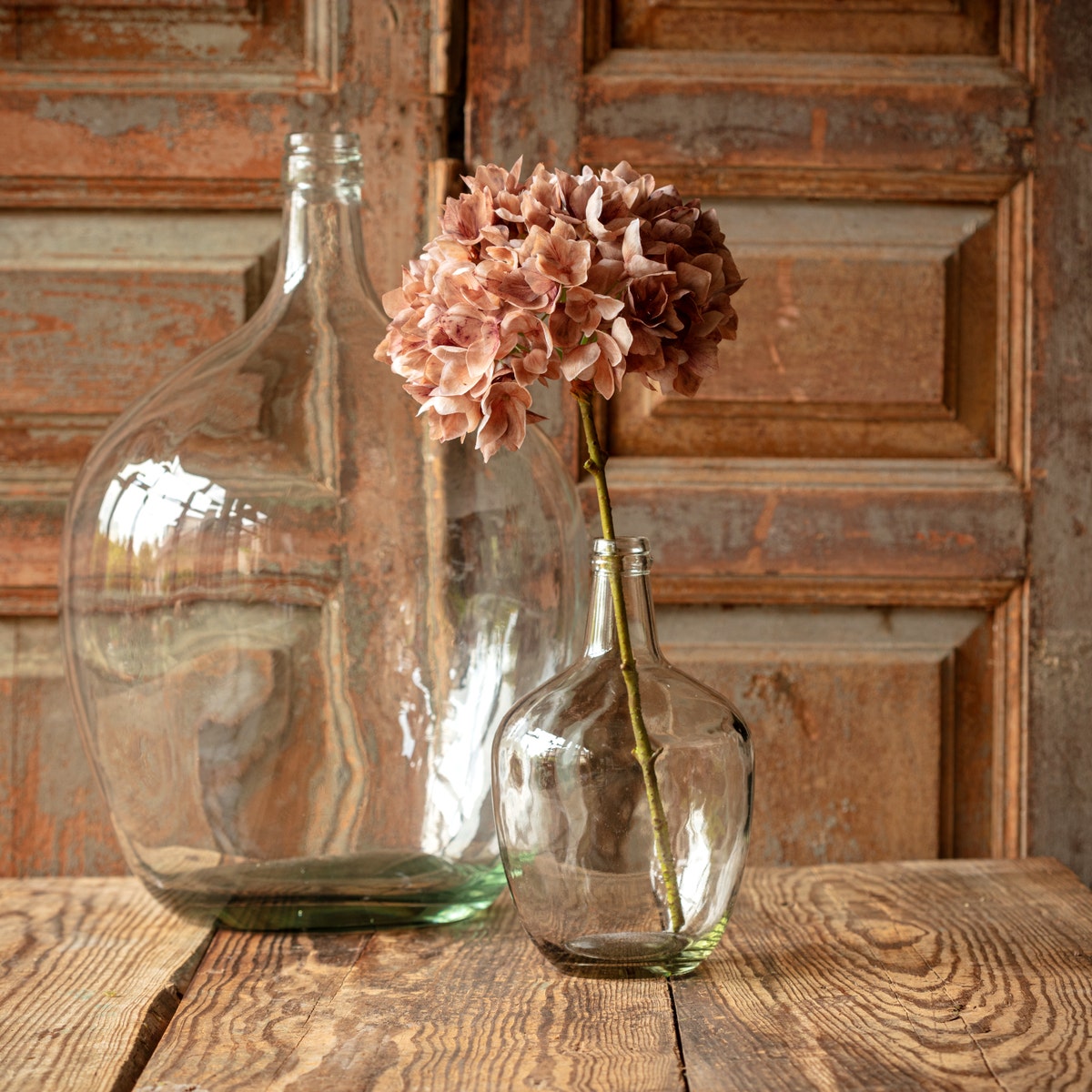 Hydrangea Antique Brown Stem