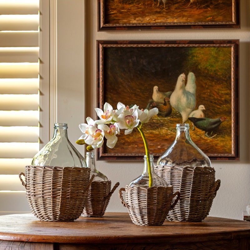 White Cymbidium Orchid