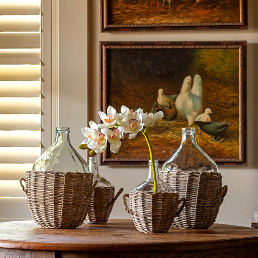 White Cymbidium Orchid