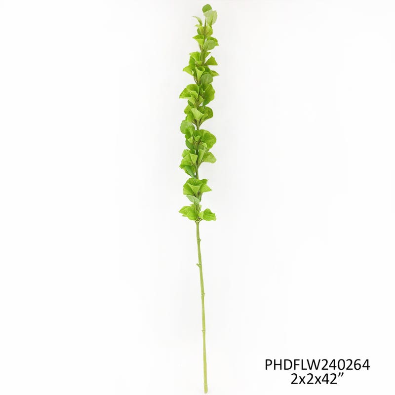 Florist Bells of Ireland Stem