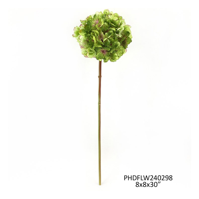 Dried Touch Hydrangea Stem Green