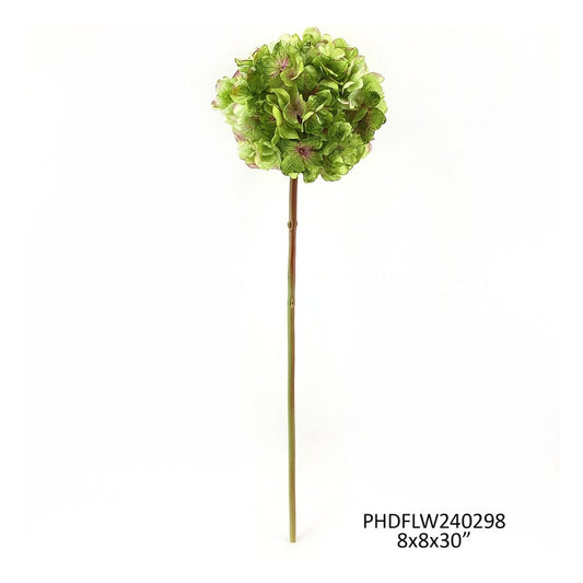 Dried Touch Hydrangea Stem Green