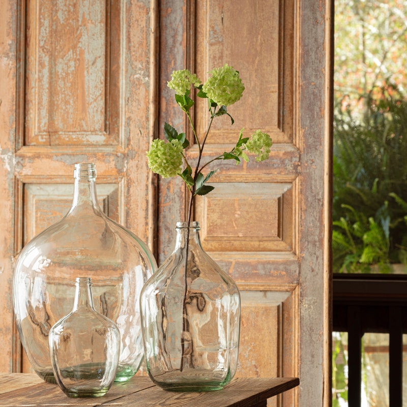 Snowball Viburnum Green