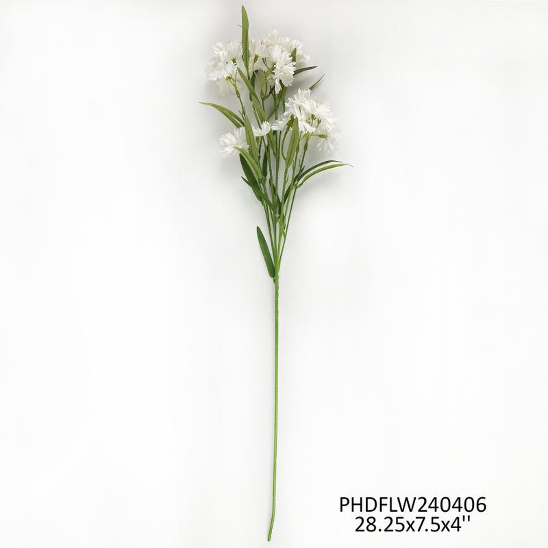 #1 Sweet William White