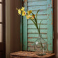 Green Cymbidium Orchid Single Stem
