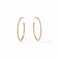 Windsor Hoop Earrings