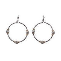 Zone Silver Earrings