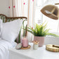 Peony Bloom Signature Candle