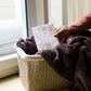 Cashmere Kiss Sachet
