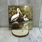 Louisiana, Artwork, Pelican, Ceramic tile: 6"x6"