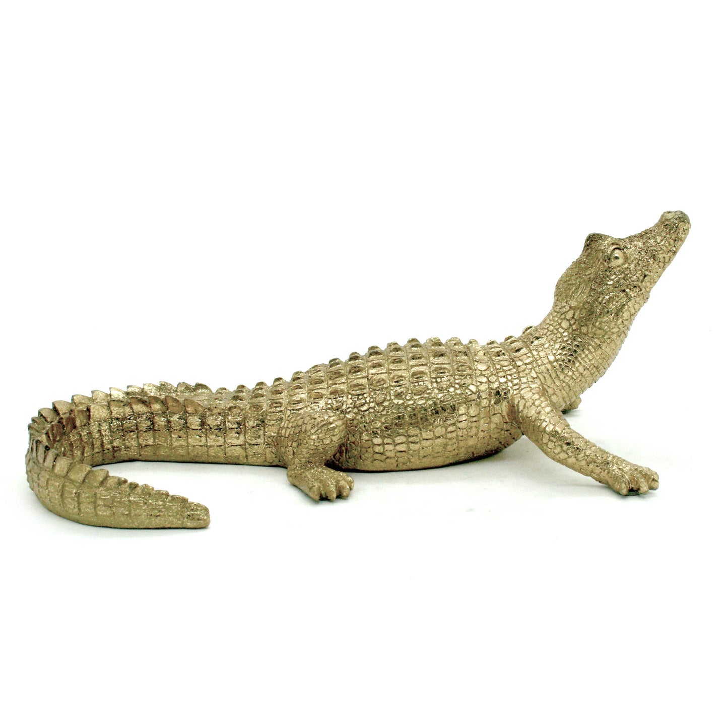 Gold Gator 14"