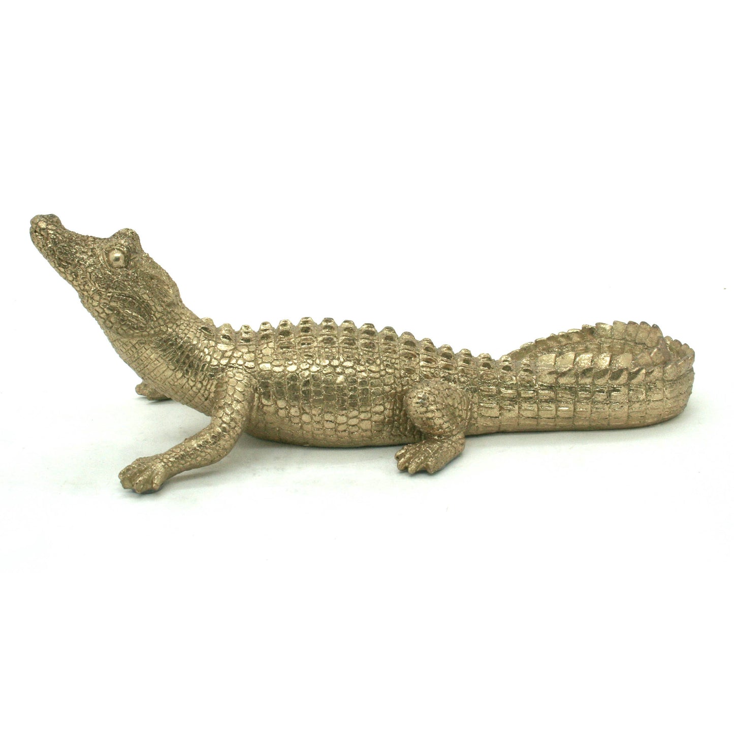 Gold Gator 14"