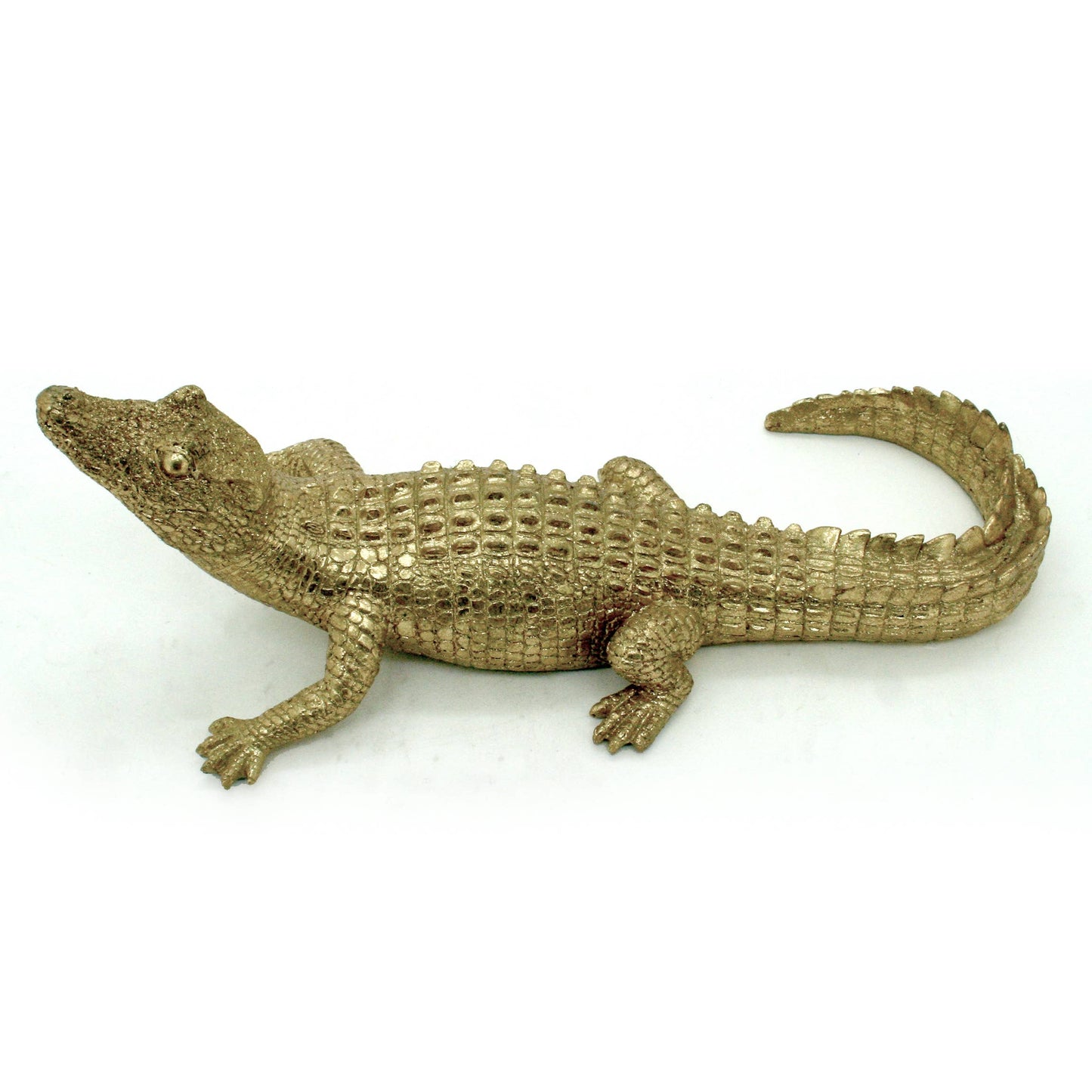 Gold Gator 14"