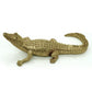 Gold Gator 14"