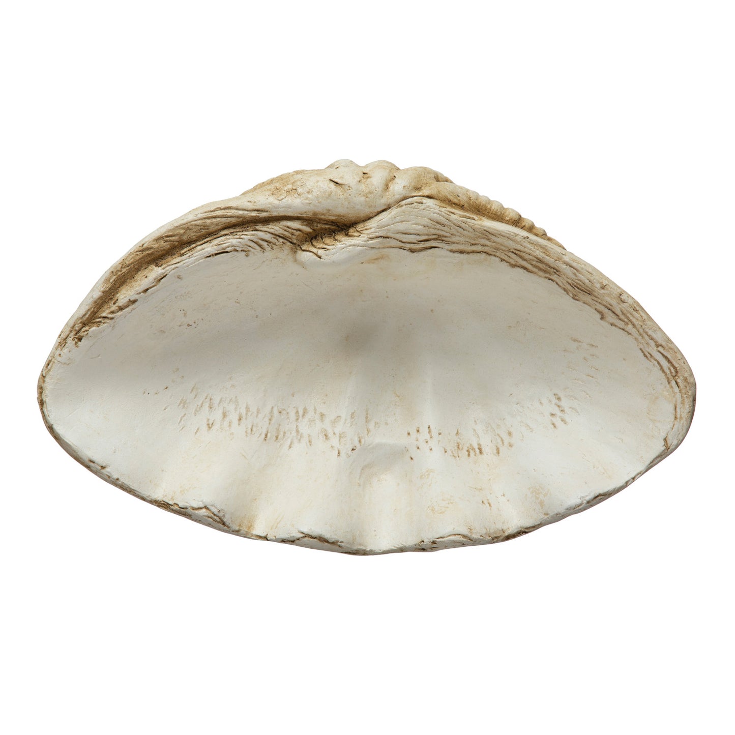 Magnesia Clamshell Decor - Natural Finish