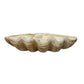 Magnesia Clamshell Decor - Natural Finish