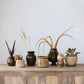 Stoneware Flower Shaped Planter (2 Colors) Each One Will Vary