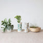 Stoneware Cabbage Shaped Planter