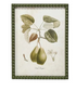 Hobnail Wood Framed Wall Decor w/Vintage Reproduction Print (9 Styles)