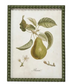 Hobnail Wood Framed Wall Decor w/Vintage Reproduction Print (9 Styles)