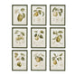 Hobnail Wood Framed Wall Decor w/Vintage Reproduction Print (9 Styles)