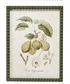 Hobnail Wood Framed Wall Decor w/Vintage Reproduction Print (9 Styles)