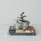 Stoneware Rabbit Planter (Each One Will Vary)