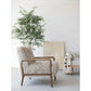 Faux Fur Upholstered Chair w/Rubberwood Frame, Cream Color & Walnut Finish