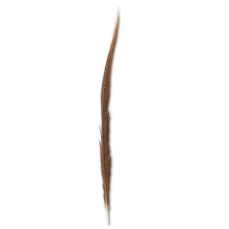 Golden Tail Feather - 28inch