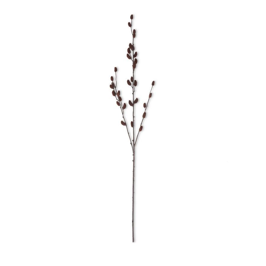 Brown Willow Stem