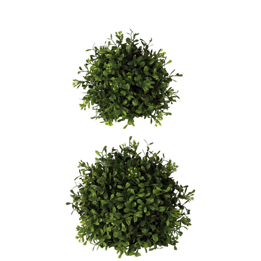 BOXWOOD ORB S/2