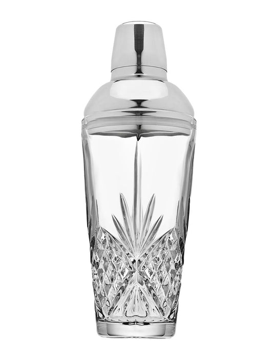 Dublin 17oz Martini Shaker