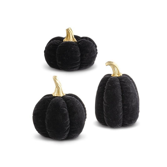 Assorted Black Velvet Pumpkins w/Gold Stems (3styles)