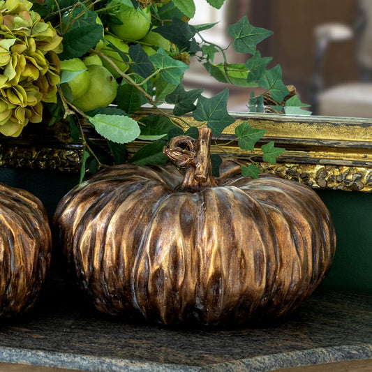 Bronze Heirloom Pumpkin Medium