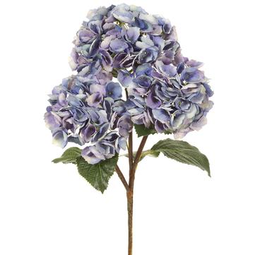 Hydrangea Spray